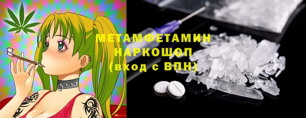 ГАЛЛЮЦИНОГЕННЫЕ ГРИБЫ Осташков