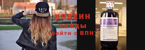 мет Няндома