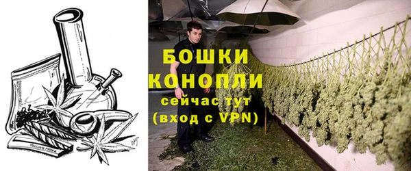 ГАЛЛЮЦИНОГЕННЫЕ ГРИБЫ Осташков