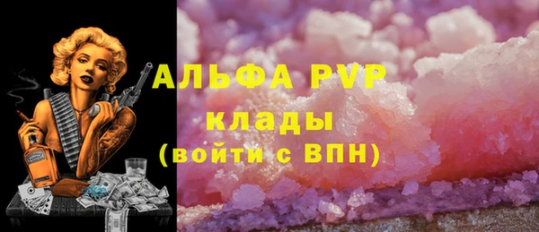ГАЛЛЮЦИНОГЕННЫЕ ГРИБЫ Осташков