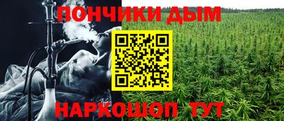 ГАЛЛЮЦИНОГЕННЫЕ ГРИБЫ Заводоуковск