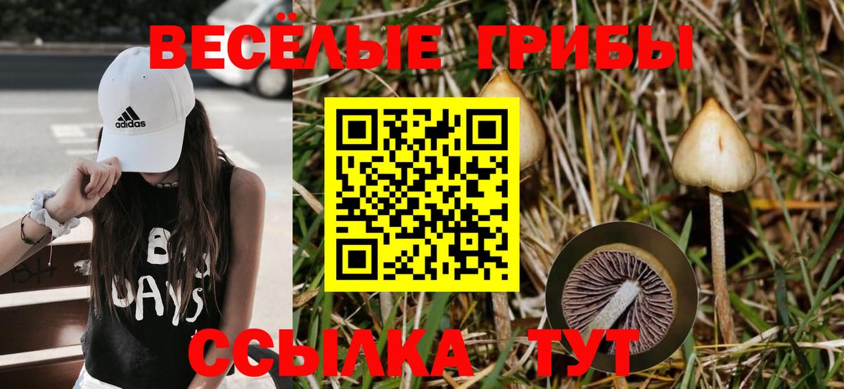 Галлюциногенные грибы Psilocybe  Галлюциногенные грибы GOLDEN TEACHER  Вход с VPN  Томск 